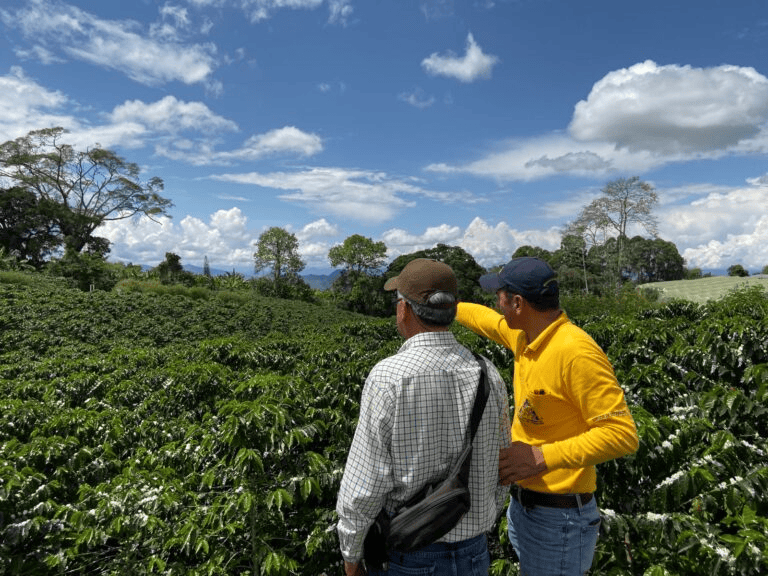 1. Huila Tv, vista de agricultores en cultivos de café en el paisaje montañoso de Huila, Colombia, mostrando la belleza natural y actividad agrícola de la región.