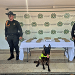 Dos policías de la Policía Nacional de Colombia con un perro policía en una exhibición de drogas en Huila, Colombia, con fondo de logotipos oficiales.