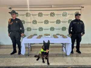 Dos policías de la Policía Nacional de Colombia con un perro policía en una exhibición de drogas en Huila, Colombia, con fondo de logotipos oficiales.