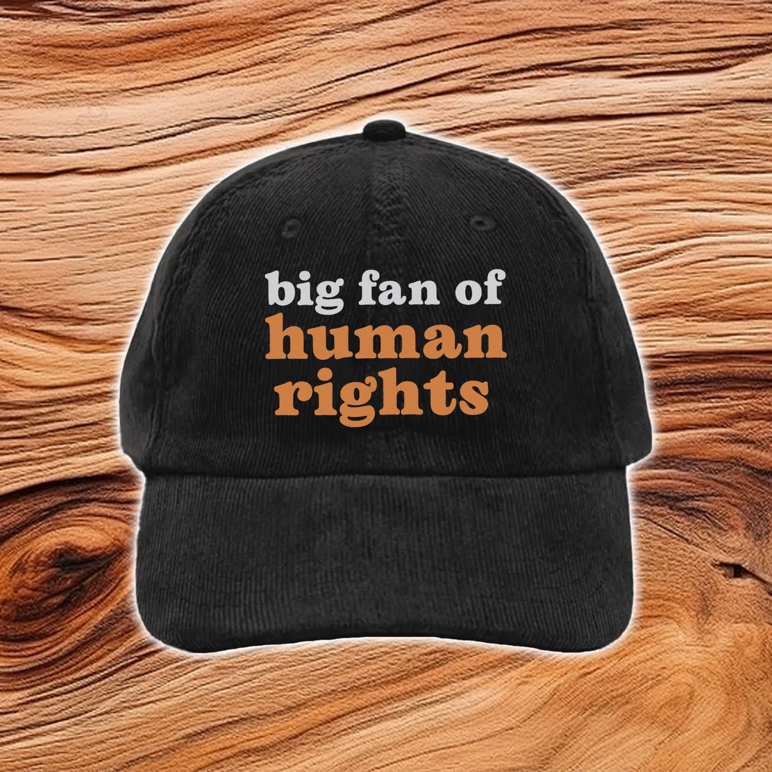 Big-Fan-of-Human-Rights-Embroidered-Baseball-Cap-USA