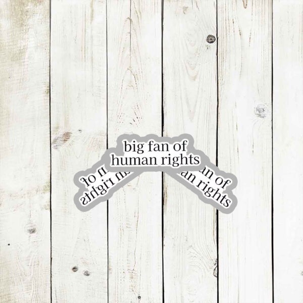 Big-Fan-of-Human-Rights-Vinyl-Sticker-–-Activist-Decals