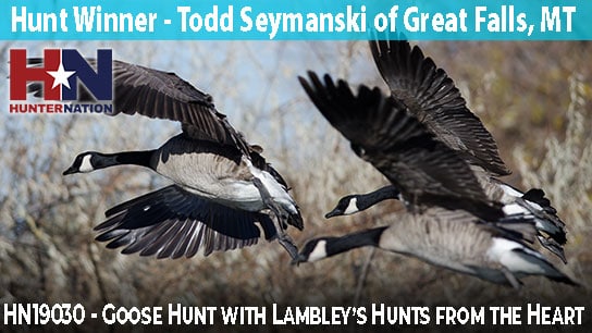HN19030-Lambleys-Goose-Hunt-Todd-Seymanski_544 HN19030-Lambleys-Goose-Hunt-Todd-Seymanski_544