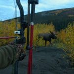 Welcome 2022 A bowhunter’s resolutions!