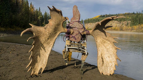 2026 Moose Hunt (10 Entries) - Image 9