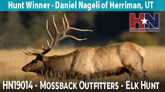HN19014-Mossback-Elk-Hunt-Winner_544 HN19014-Mossback-Elk-Hunt-Winner_544