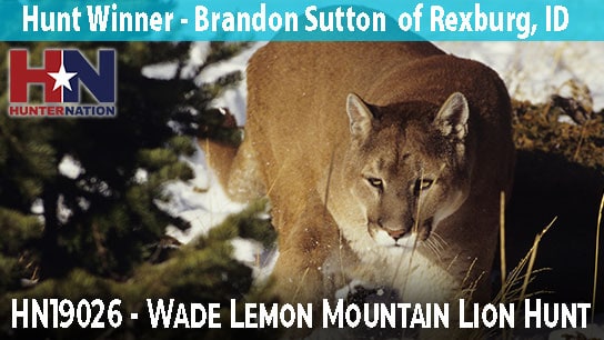 HN19026-Wade-Lemon_Mountain-Lion_544 HN19026-Wade-Lemon_Mountain-Lion_544