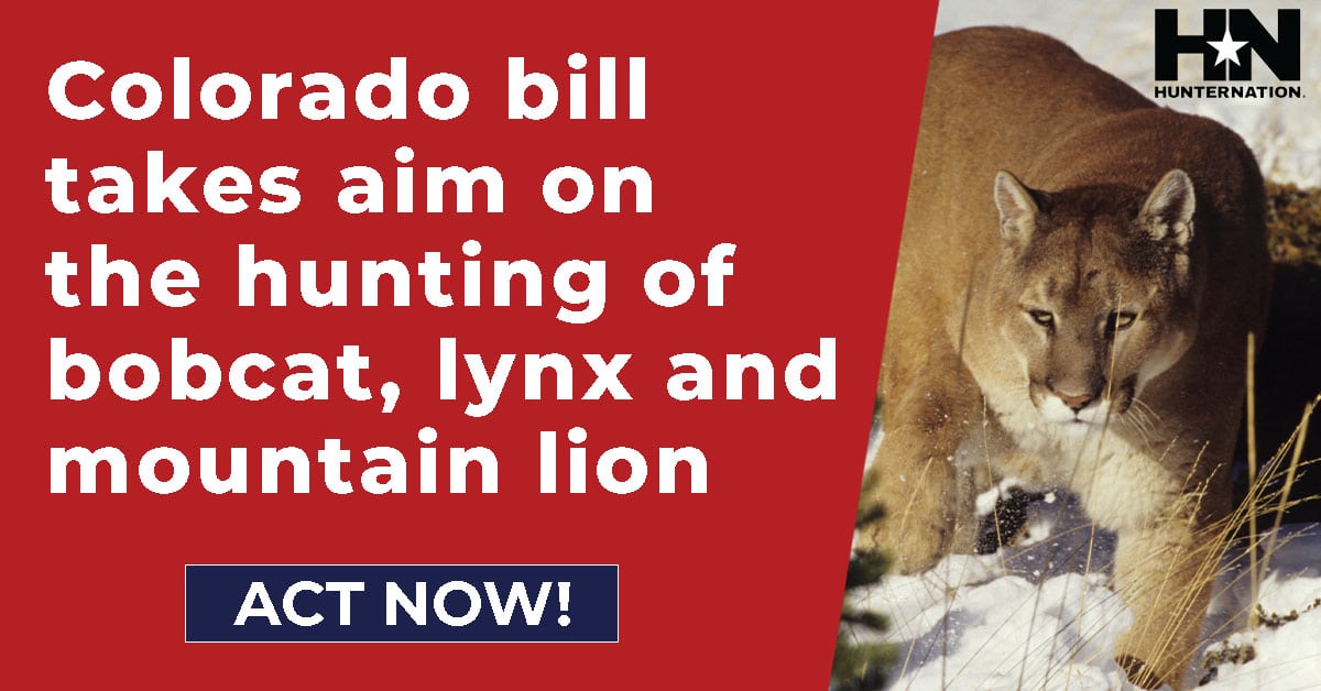 Hunter-Nation-CO-Predator-Hunting-Ban-1200x628-20220115 Hunter-Nation-CO-Predator-Hunting-Ban-1200x628-20220115