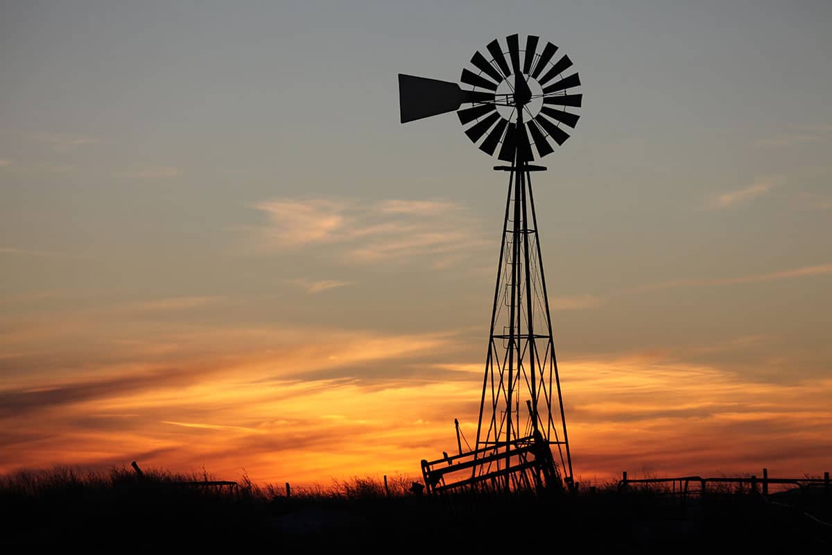 HN_Tales-from-Wheat-Creek_22-11-28-1200x800jpg HN_Tales-from-Wheat-Creek_22-11-28-1200x800jpg