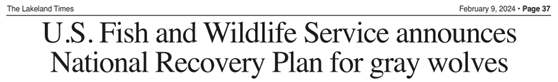 WOLF_Lakeland-Times_Review-of-Gray-Wolf-Recovery-2024-02 WOLF_Lakeland-Times_Review-of-Gray-Wolf-Recovery-2024-02