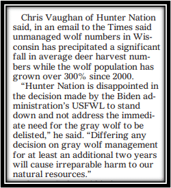 WOLF_Lakeland-Times_Review-of-Gray-Wolf-Recovery-Chris-Vaughan-2024-02 WOLF_Lakeland-Times_Review-of-Gray-Wolf-Recovery-Chris-Vaughan-2024-02
