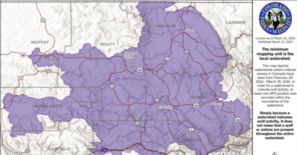Here’s where Colorado’s new wolves roamed in March as they expanded their territory