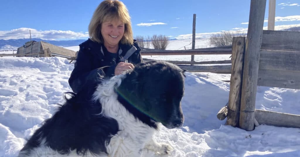 Northern Colorado ranchers reflect on the arrival of the wolves who migrated down from Wyoming