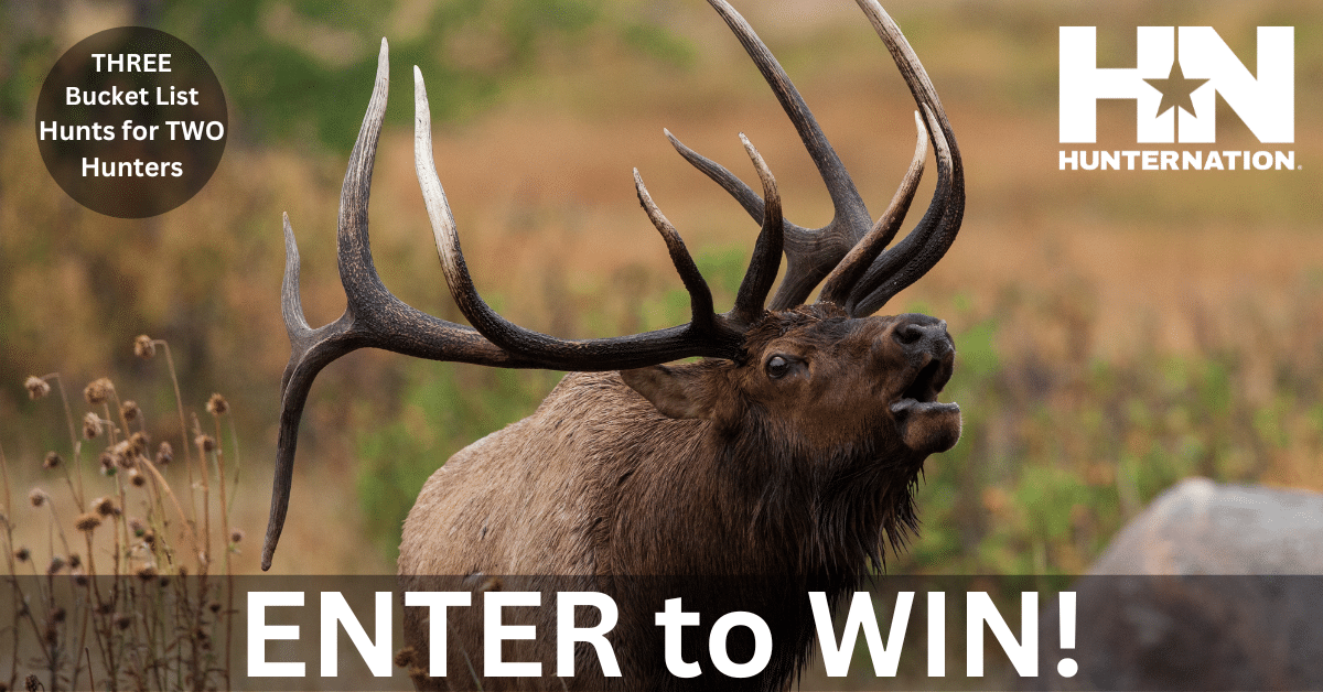 HN-DH-ELK01_FB-1200x628_White