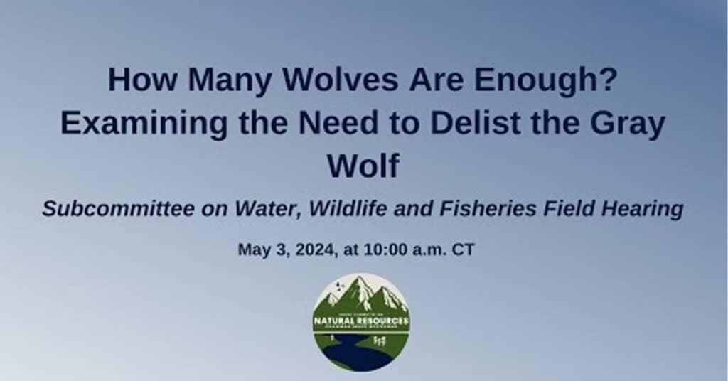 How Many Wolves Are Enough? Examining the Need to Delist the Gray Wolf