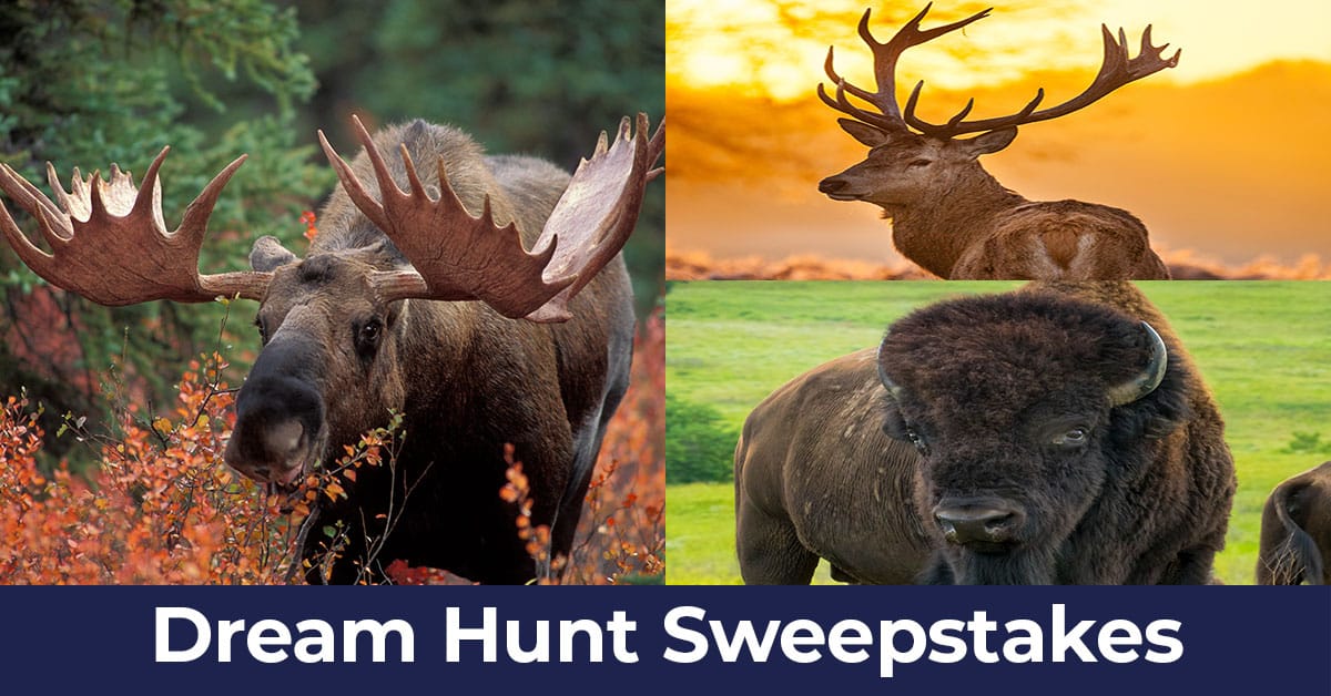 Hunter-Nation-Dream-Hunts-2025-01_1200x628__2025-04