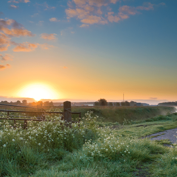 KM-John-Farm_GI-478561100_1200x600