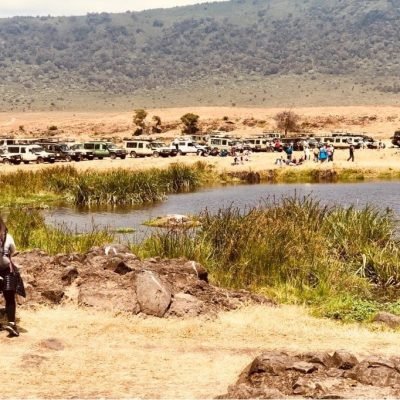 husnaSafari-images-edge of water