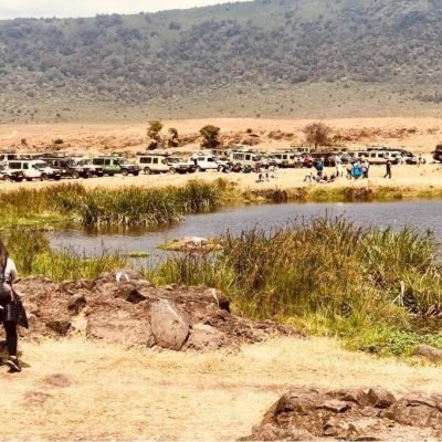 husnaSafari-images-edge-of-water.jpg