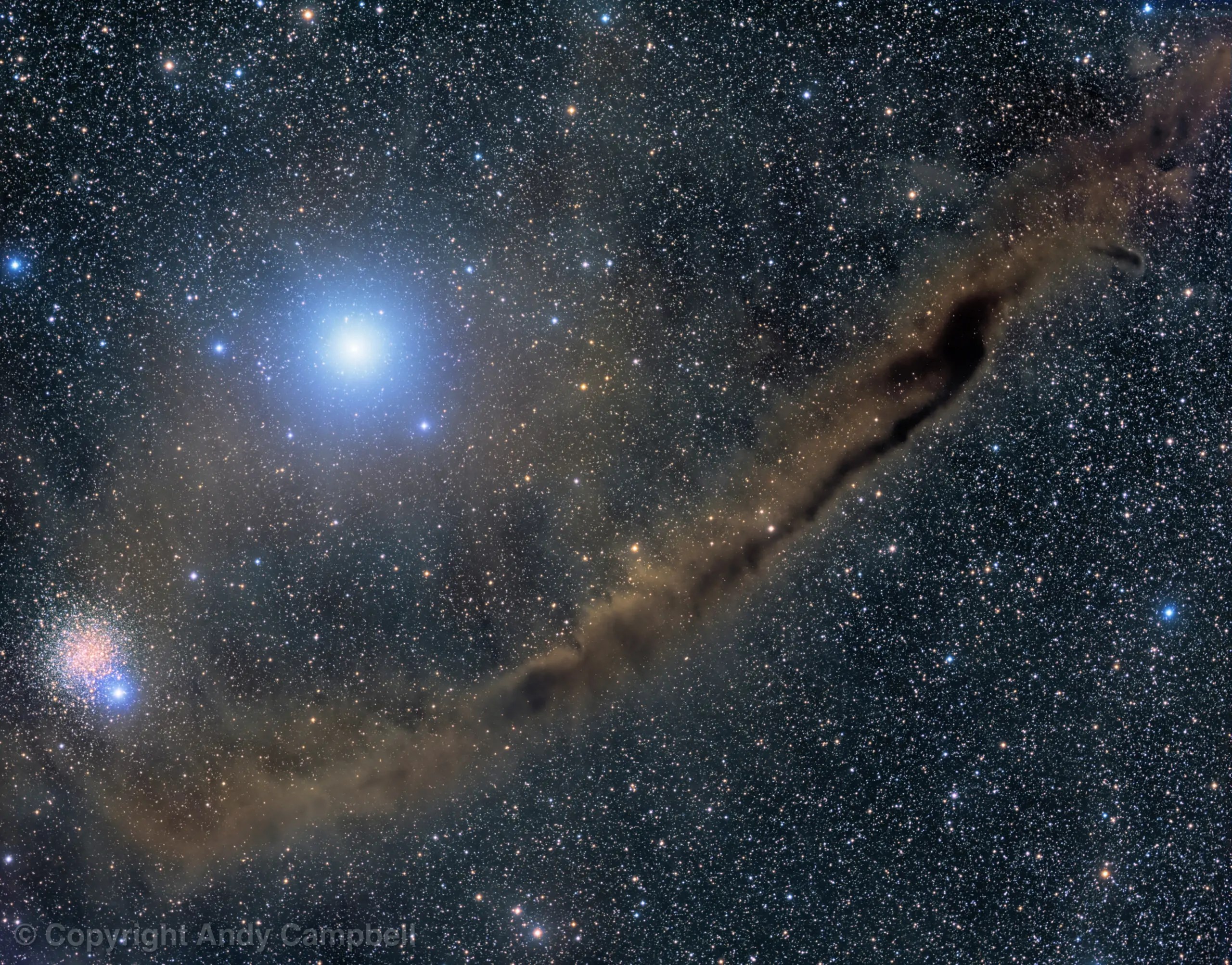 The Dark Doodad Nebula
