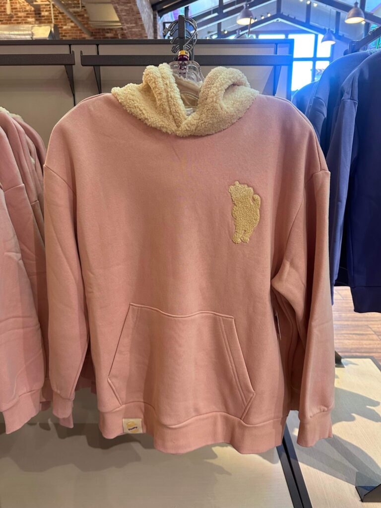 Cozy Disney Hoodies