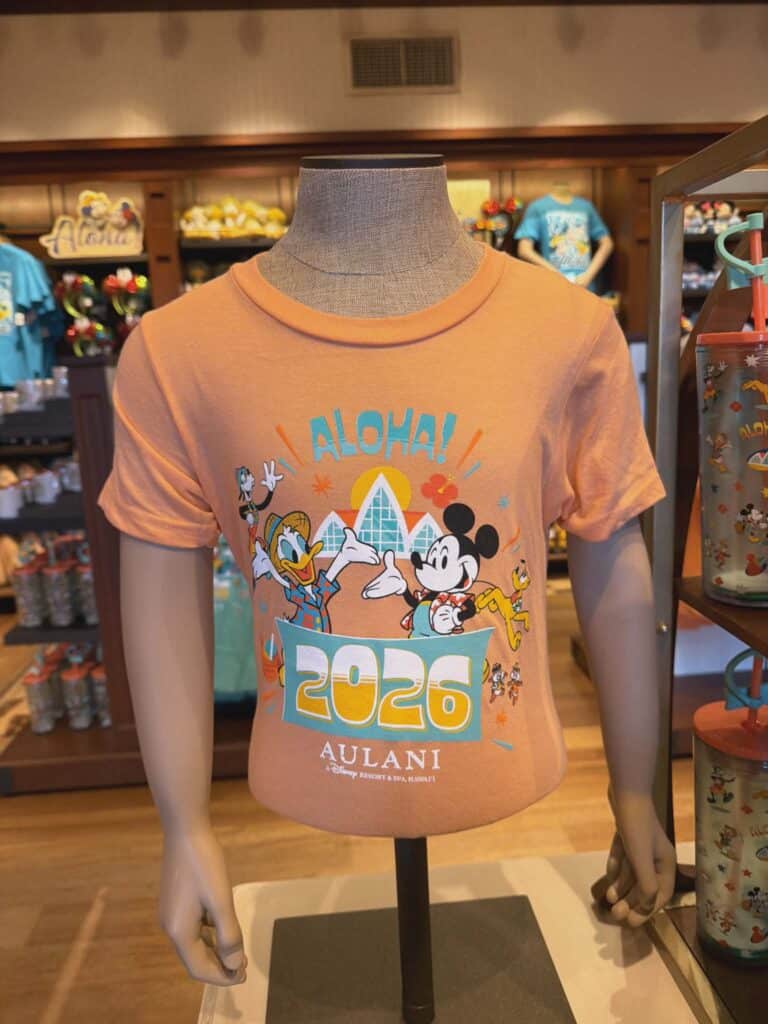 Colorful Disney summer T-shirt featuring Mickey Mouse, Minnie Mouse, Donald Duck, and Goofy. Perfect for Disney fans.