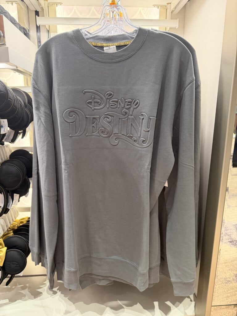 Embossed Disney Destiny sweatshirt in soft gray, perfect for Disney fans and casual wear.