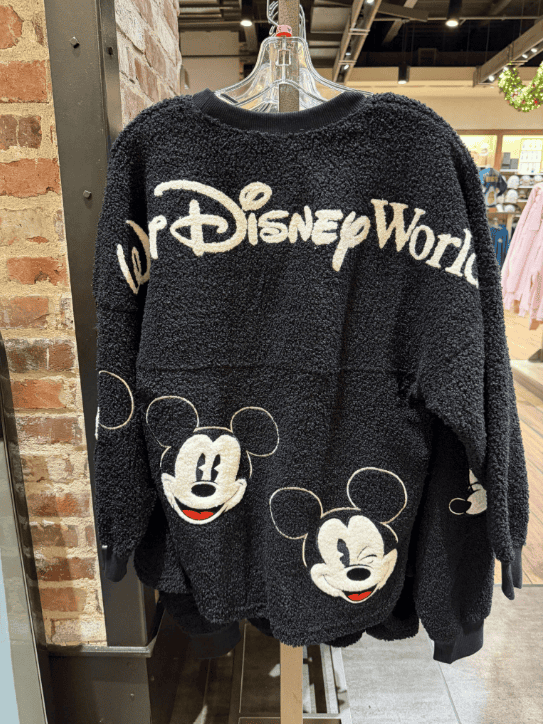 Soft Mickey Mouse Disney World sweatshirt.