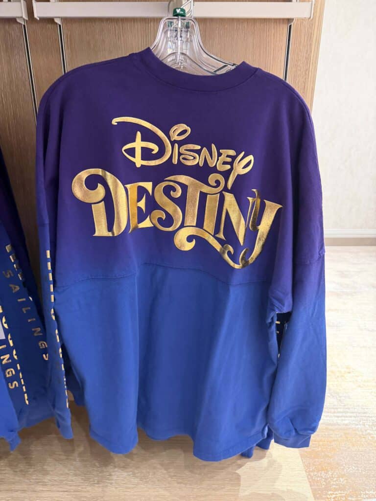 Disney Destination sweatshirt with gold branding on purple and blue fabric.
