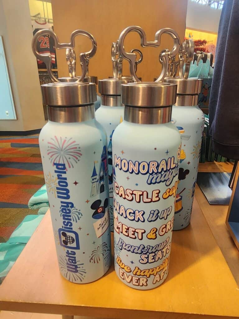 Disney castle water bottles with Disney-inspired design and park phrases for Disney fans.
