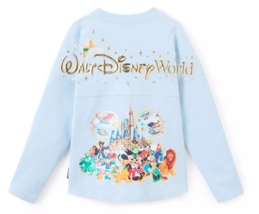 Light blue Disney Princess sweatshirt with castle and characters print.