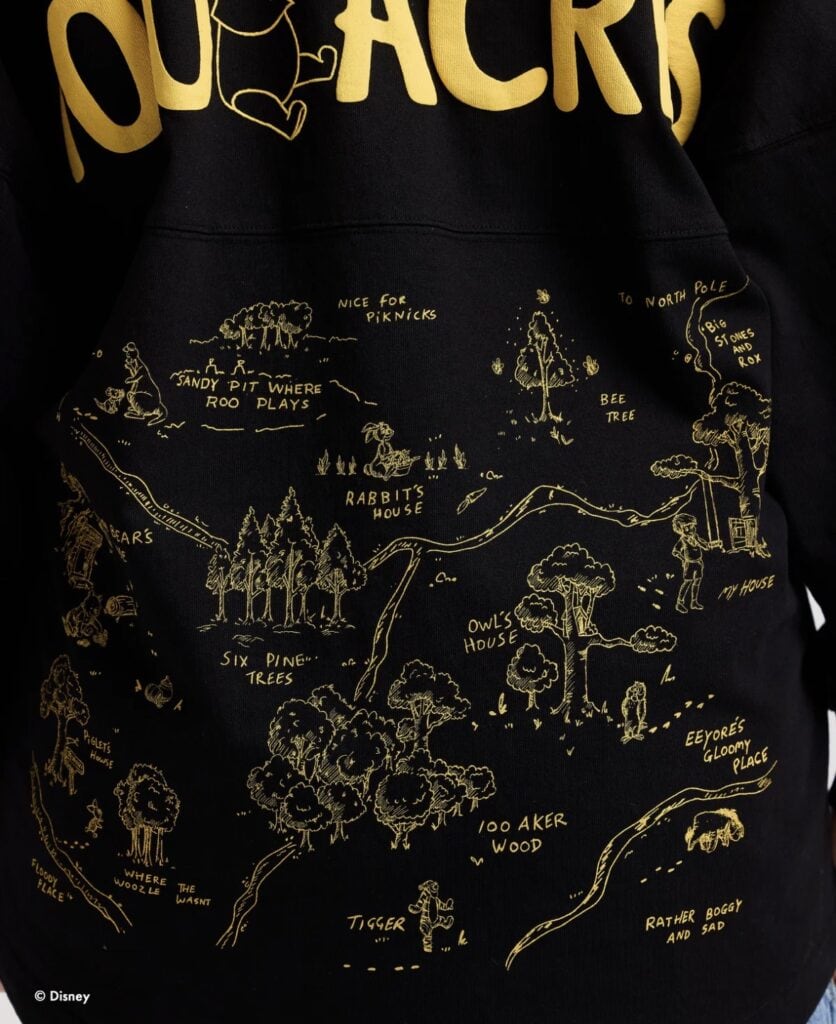 Disney-themed hoodie with a detailed map illustration of Disney parks and attractions.