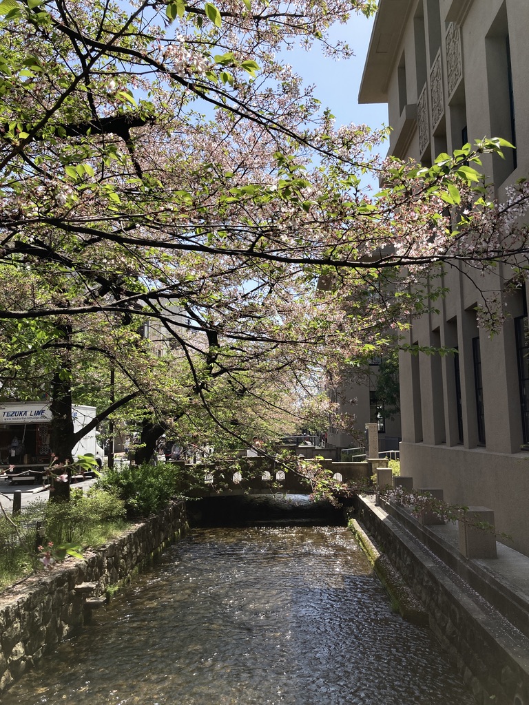 京都高瀨川最佳拍攝角度，休雷克蓋特飯店（The Gate Hotel Kyoto Kakasegawa by Hulic）前的小橋最美。