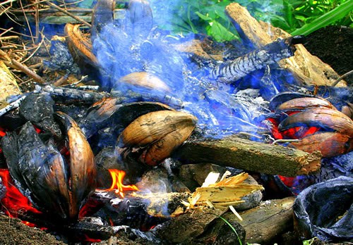 Lovo fire burning waiting for rocks to be red hot