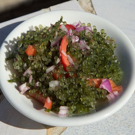 Nama Salad (Sea Grapes) Recipe