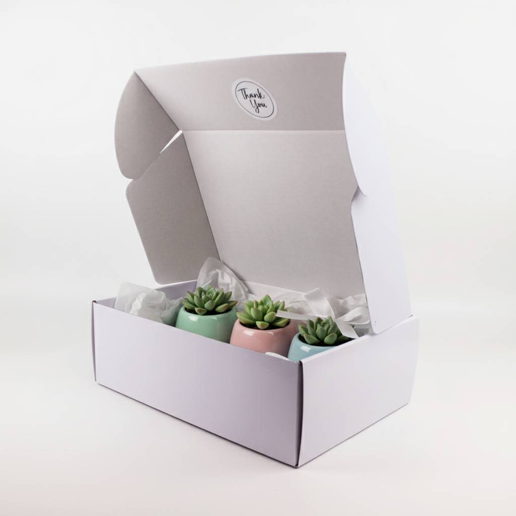 Sturdy White Mailer Boxes For Safe Ceramic Product Shipping