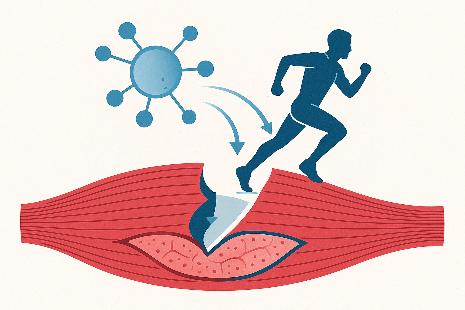 TB-500 thymosin beta-4 peptide guide