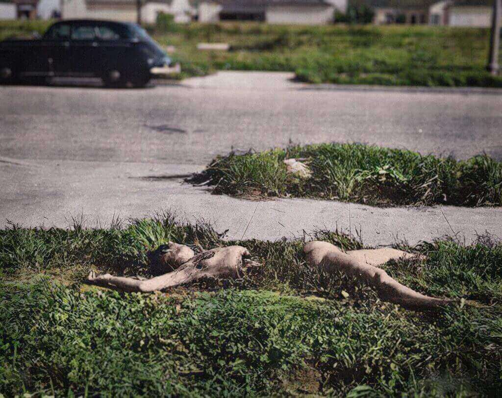 The Enduring Enigma Of Elizabeth Short: The Black Dahlia Slaying The Enduring Enigma Of Elizabeth Short: The Black Dahlia Slaying