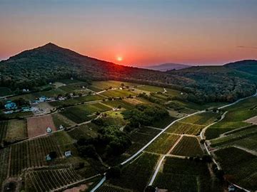 Scenic aerial view of Hungarian vineyard landscape at sunset with mountains, ideal for luxury wine t