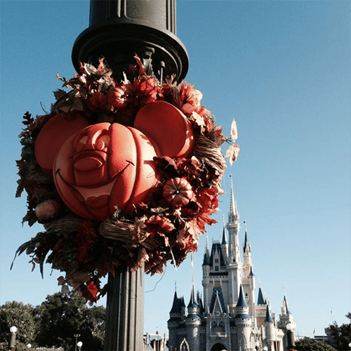 Mickeys Not So Scary Halloween Party
