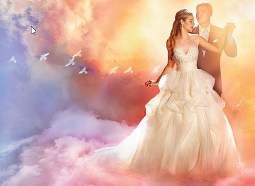 2015-12-06 09_26_22-Alfred Angelo (@alfredangelobridal) • Instagram photos and videos