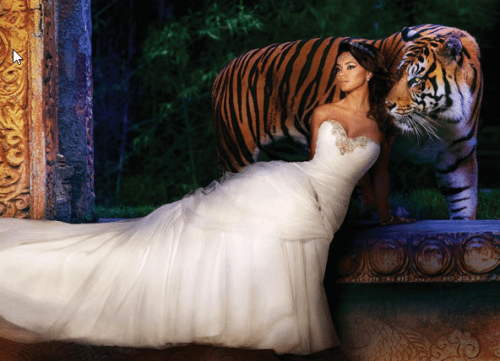 2015-12-06 09_26_57-Alfred Angelo (@alfredangelobridal) • Instagram photos and videos