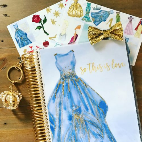 Cinderella planner