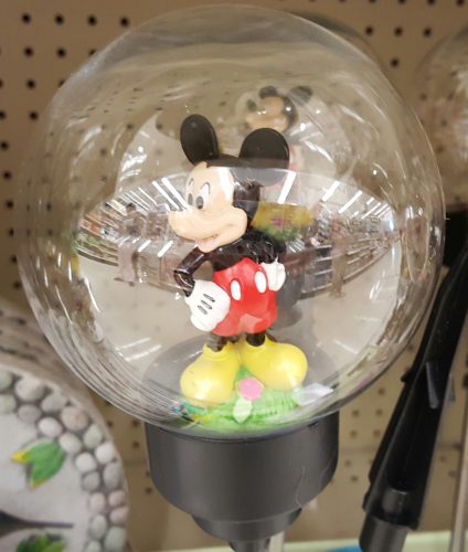 disney garden at walgreens