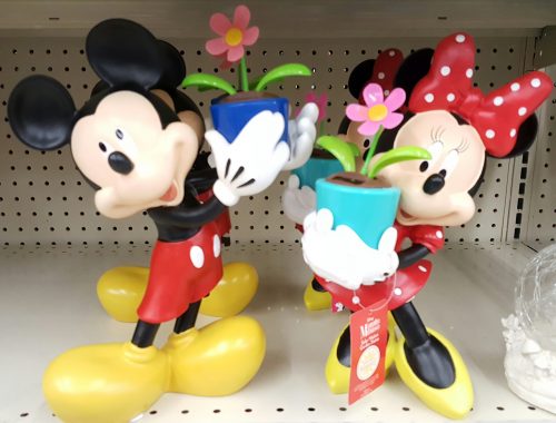 disney garden at walgreens