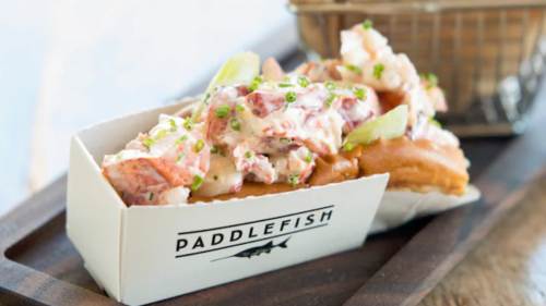Paddlefish
