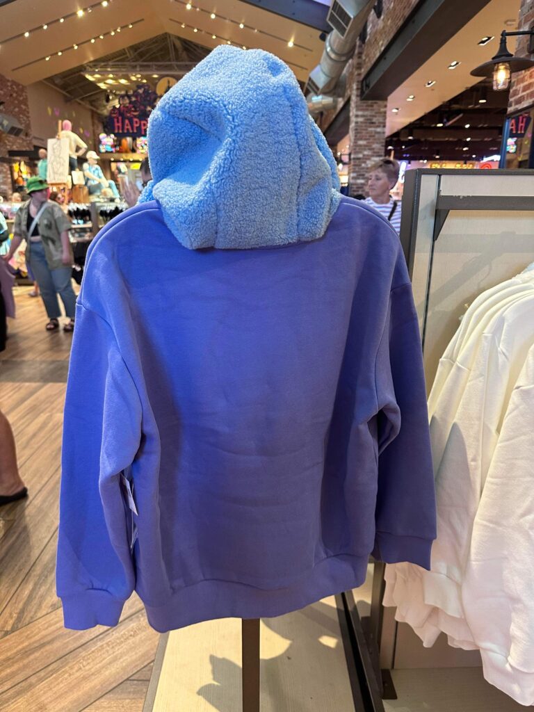 Cozy Disney Hoodies