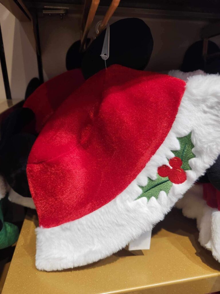 Disney Holiday Cruise Merchandise