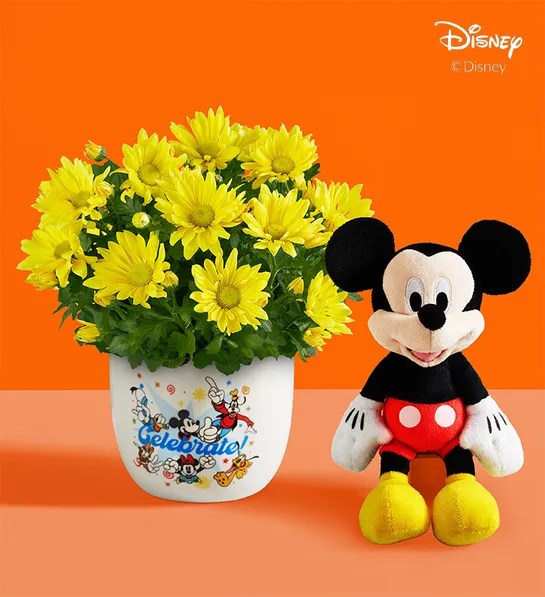 1-800-Flowers Disney Collection