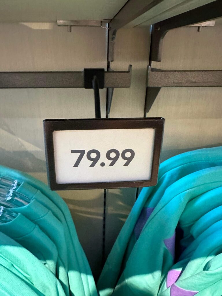 Teal Spirit Jersey and Ears