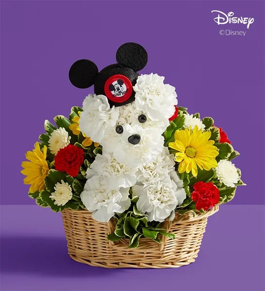 1-800-Flowers Disney Collection